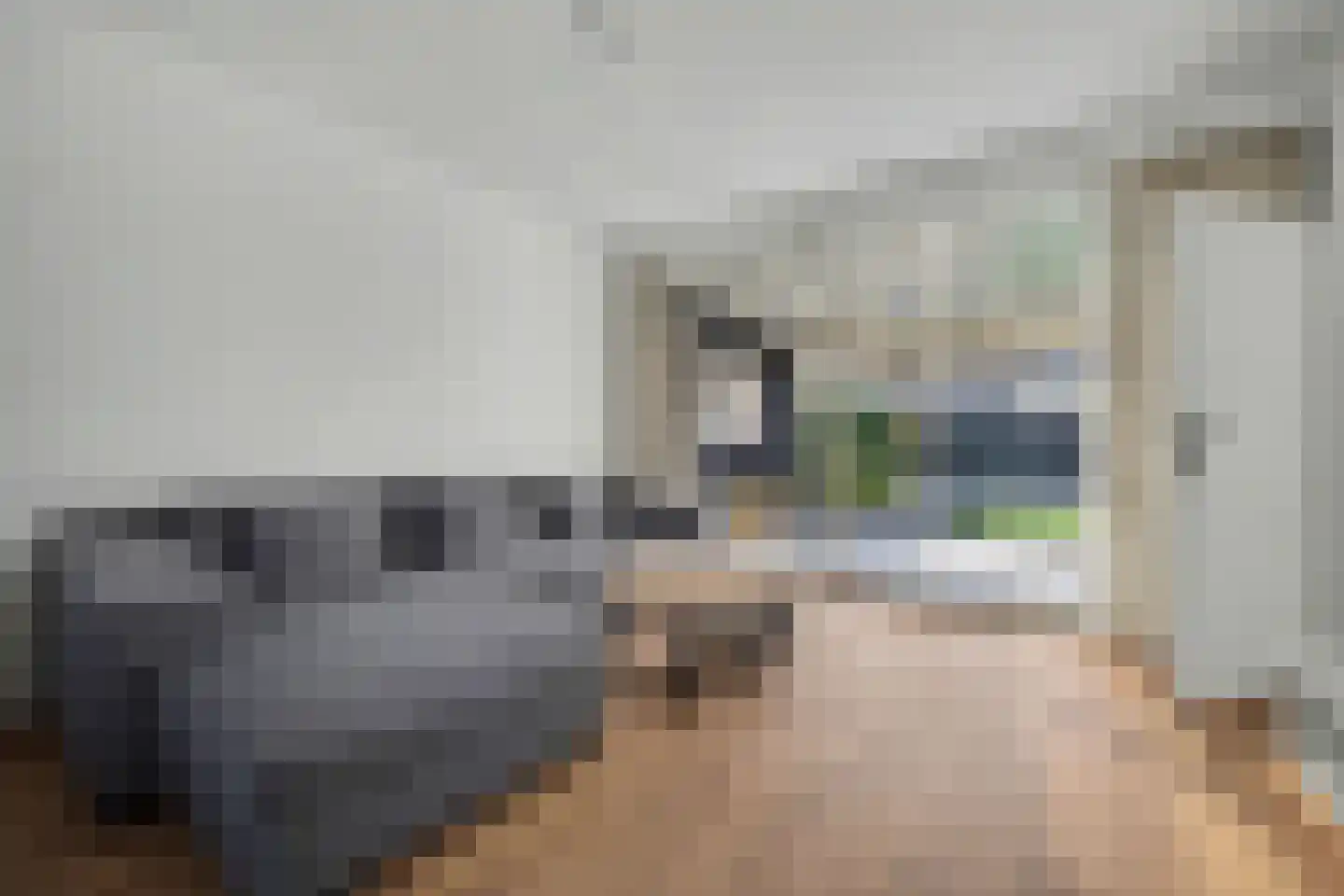 Mahlerlaan 10 Vlijmen thumbnail 4