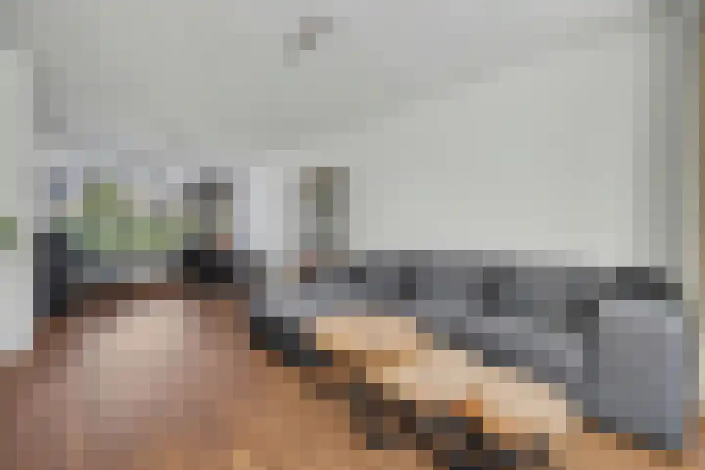 Mahlerlaan 10 Vlijmen thumbnail 6