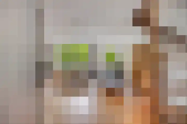 Mahlerlaan 13 Goes thumbnail 12