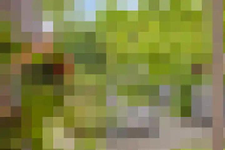 Mahlerlaan 13 Goes thumbnail 14