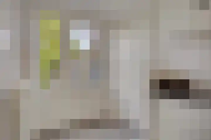 Mahlerlaan 13 Goes thumbnail 17