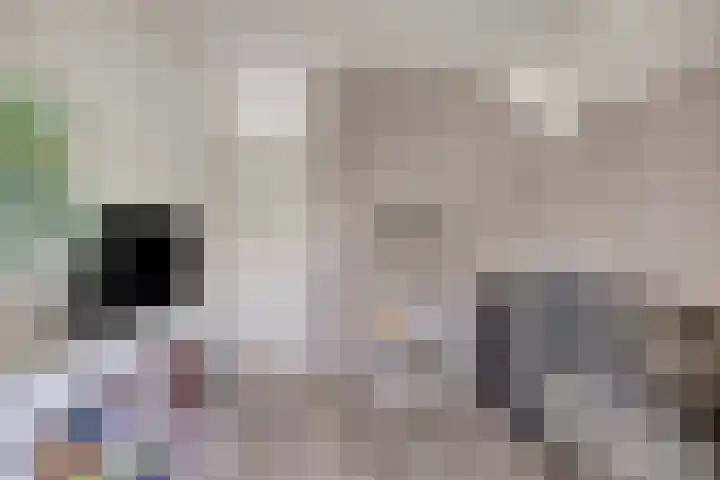 Mahlerlaan 13 Goes thumbnail 27