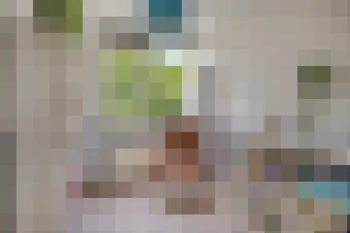 Mahlerlaan 13 Goes thumbnail 28