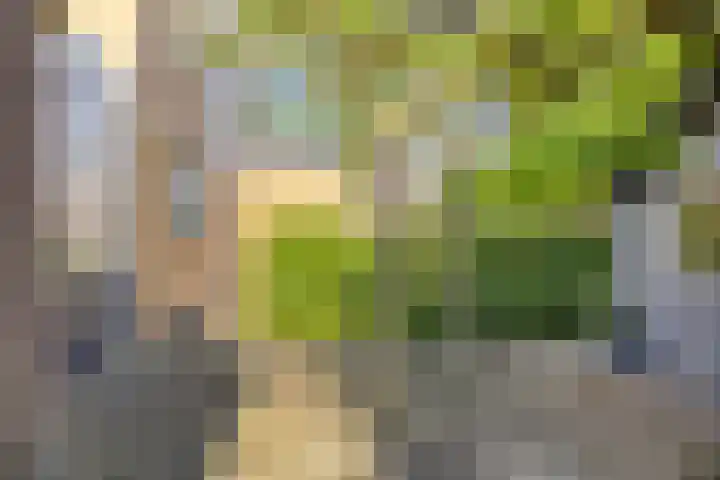 Mahlerlaan 13 Goes thumbnail 35
