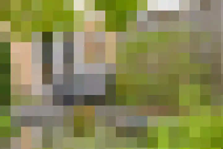 Mahlerlaan 13 Goes thumbnail 36