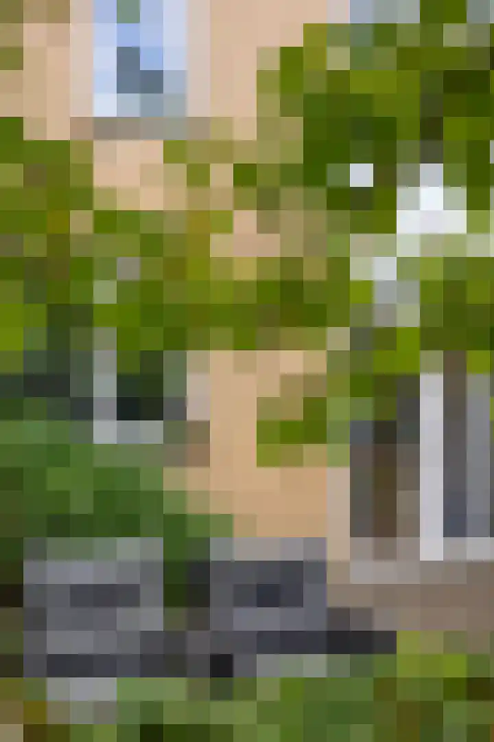 Mahlerlaan 13 Goes thumbnail 37