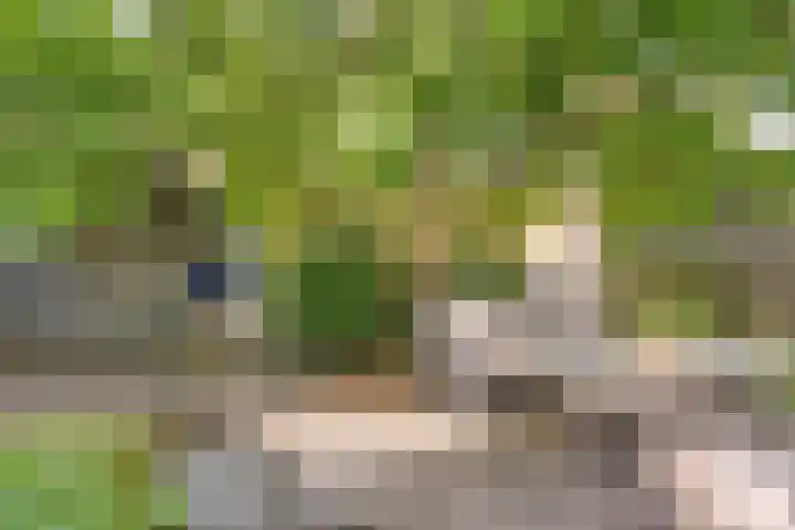 Mahlerlaan 13 Goes thumbnail 38