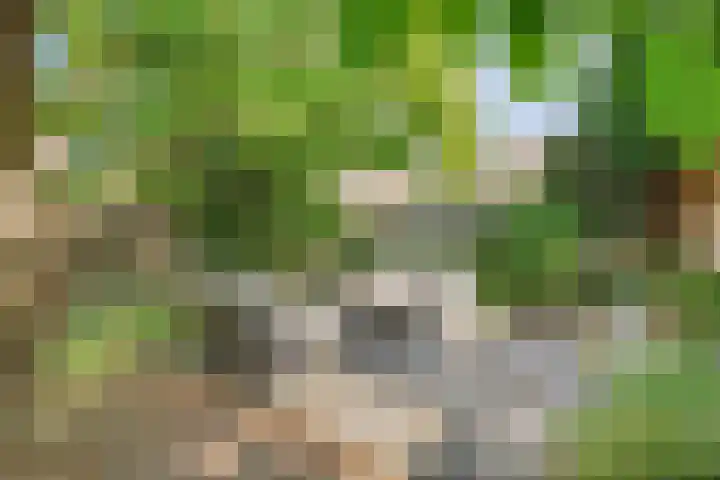Mahlerlaan 13 Goes thumbnail 39