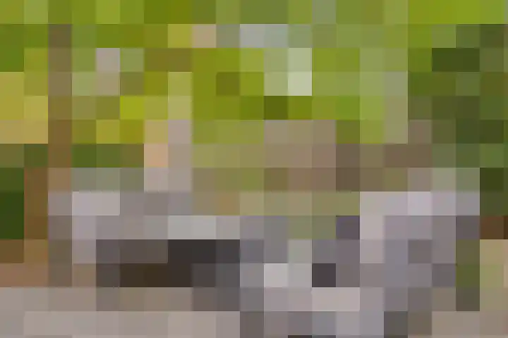 Mahlerlaan 13 Goes thumbnail 40