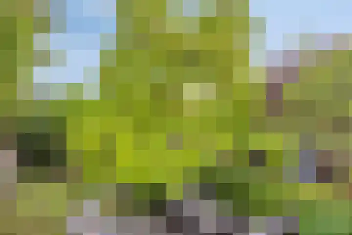 Mahlerlaan 13 Goes thumbnail 41