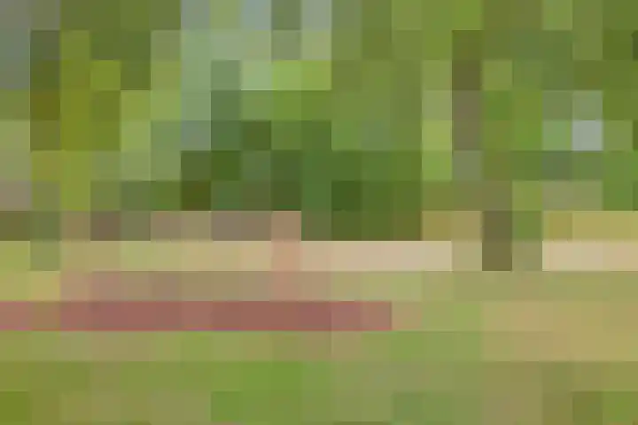 Mahlerlaan 13 Goes thumbnail 44