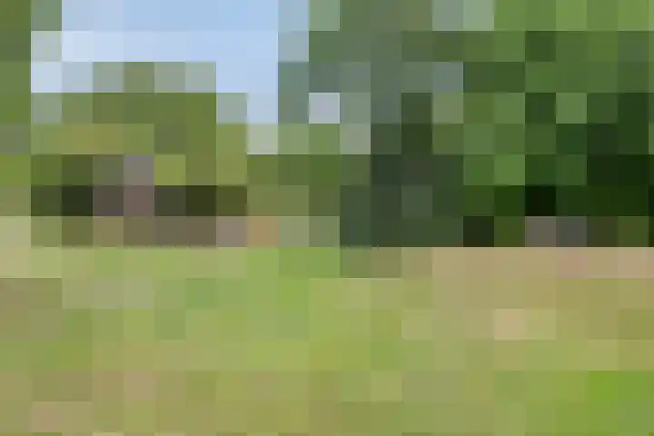 Mahlerlaan 13 Goes thumbnail 45