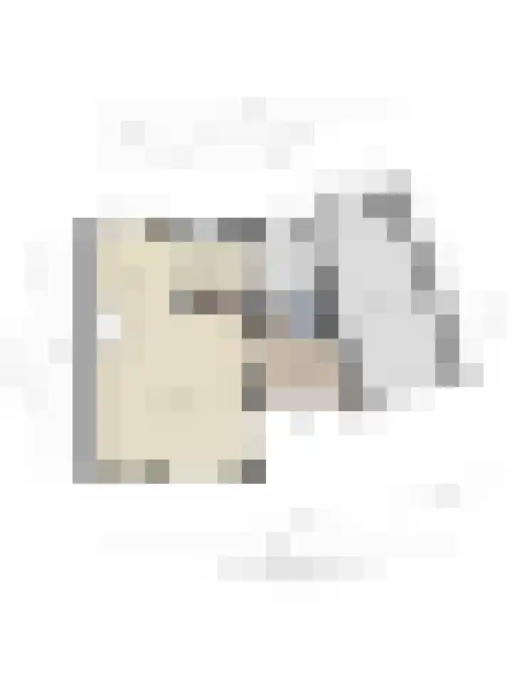 Mahlerlaan 13 Goes thumbnail 46