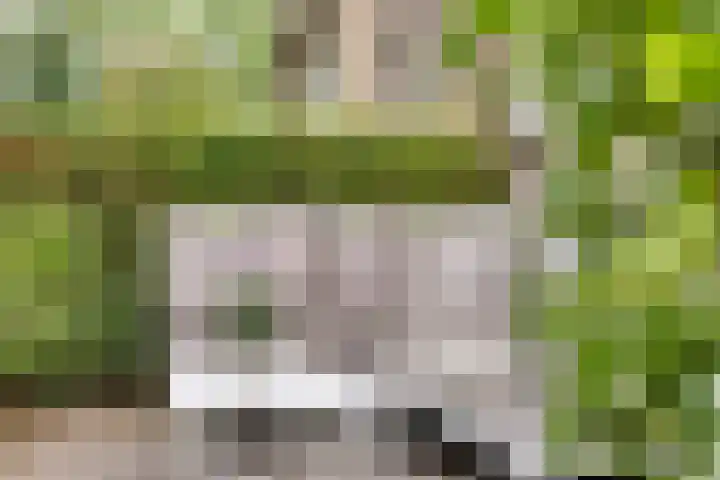 Mahlerlaan 13 Goes thumbnail 6