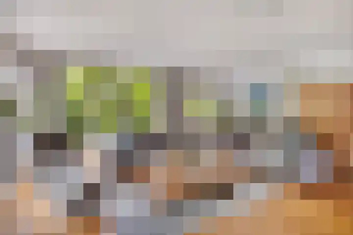 Mahlerlaan 13 Goes thumbnail 9