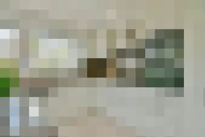 Mahlerlaan 16 Nieuw-Vennep thumbnail 15