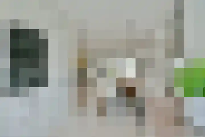 Mahlerlaan 16 Nieuw-Vennep thumbnail 16