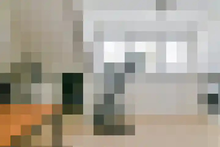 Mahlerlaan 16 Nieuw-Vennep thumbnail 32