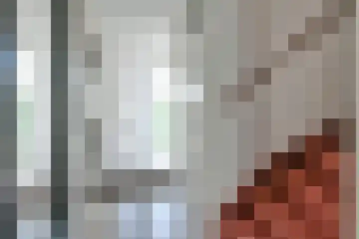Mahlerlaan 16 Nieuw-Vennep thumbnail 9
