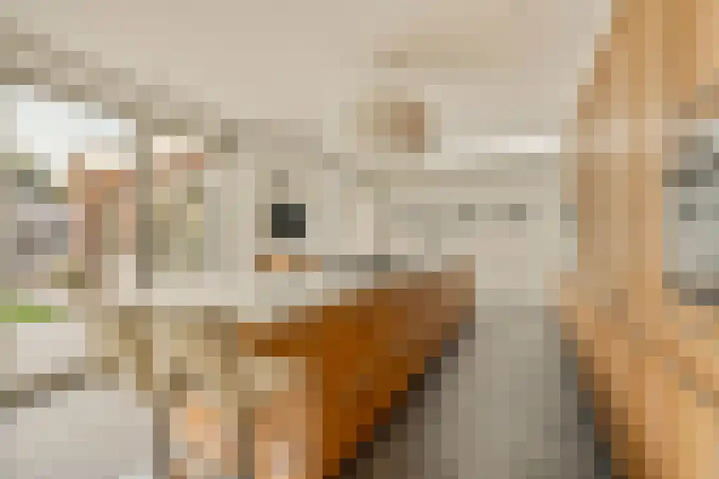 Mahlerlaan 4 Heemstede thumbnail 17