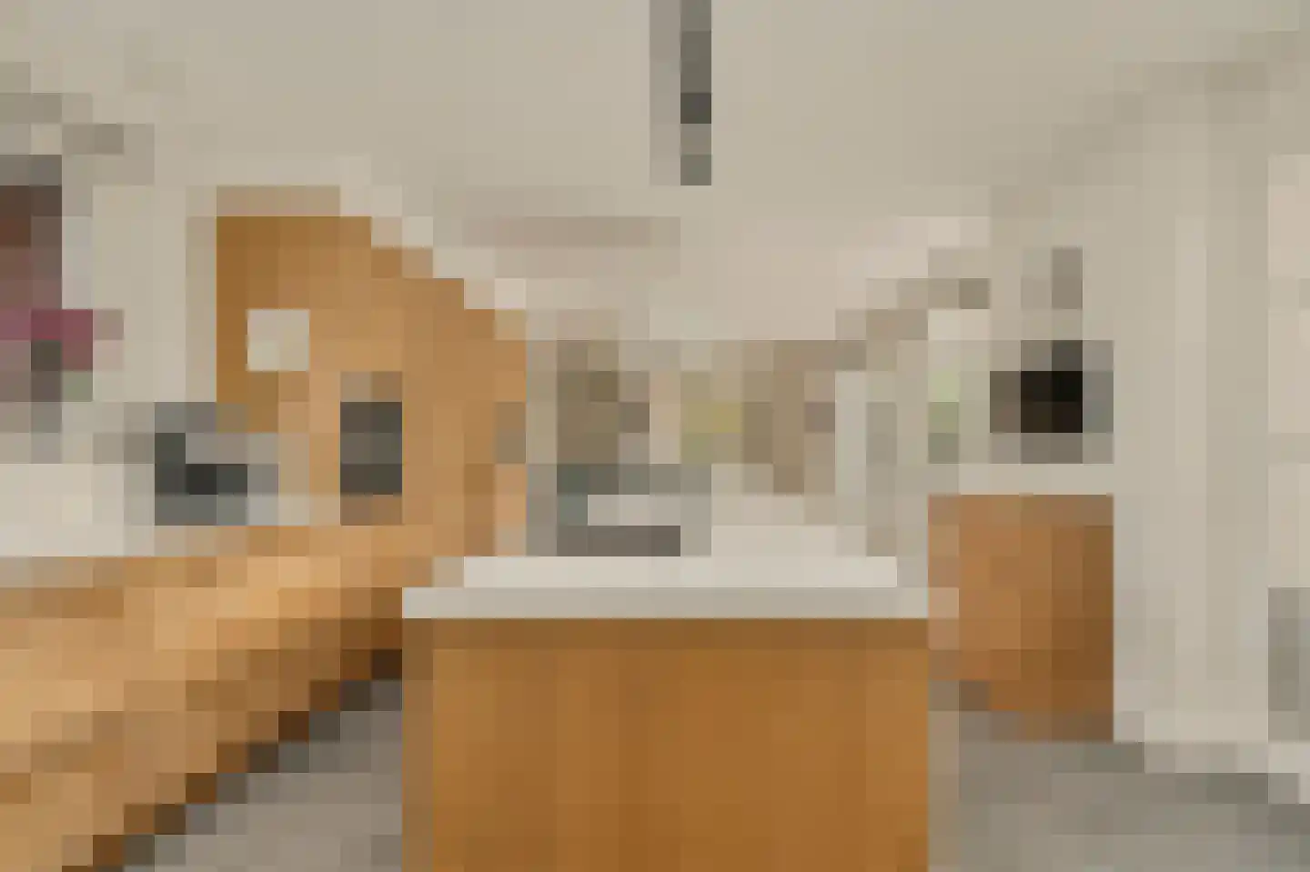 Mahlerlaan 4 Heemstede thumbnail 18