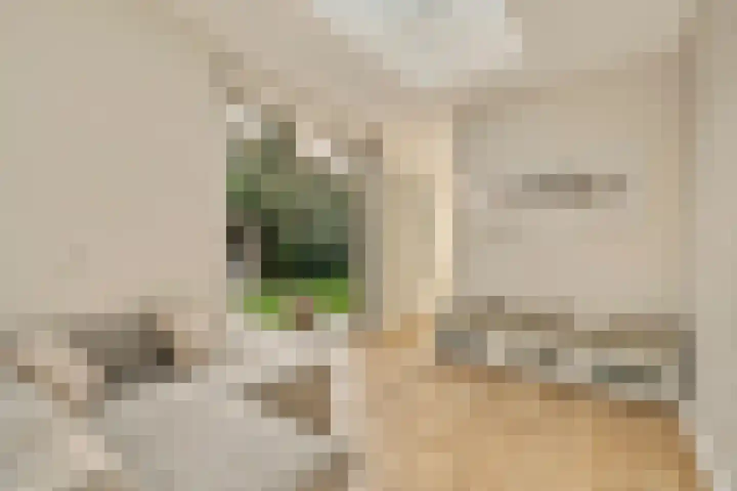 Mahlerlaan 4 Heemstede thumbnail 28