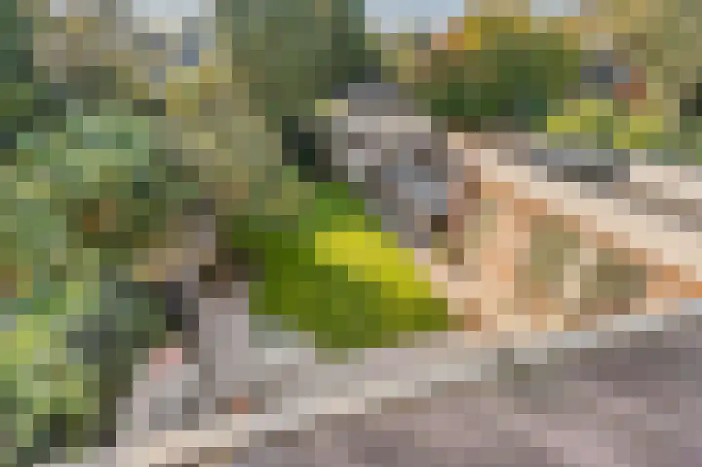 Mahlerlaan 4 Heemstede thumbnail 36