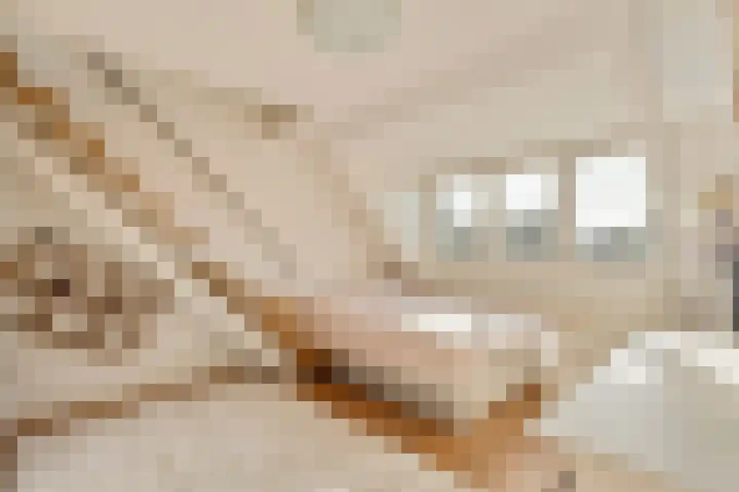 Mahlerlaan 4 Heemstede thumbnail 50