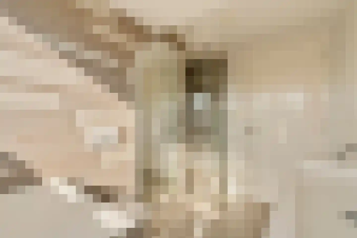 Mahlerlaan 4 Heemstede thumbnail 57