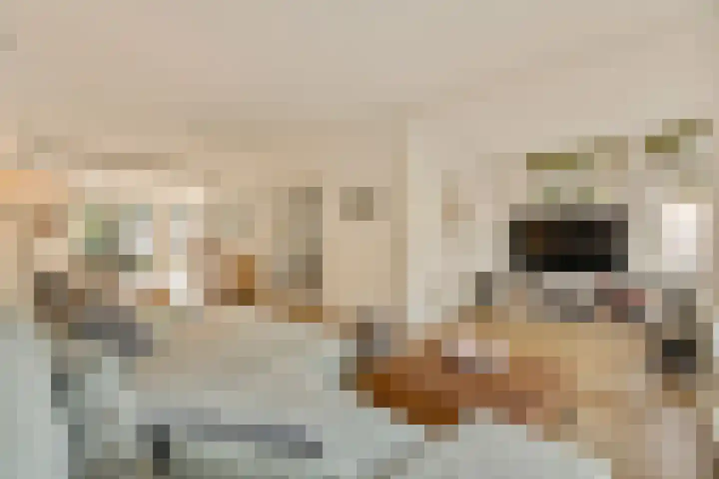 Mahlerlaan 4 Heemstede thumbnail 8