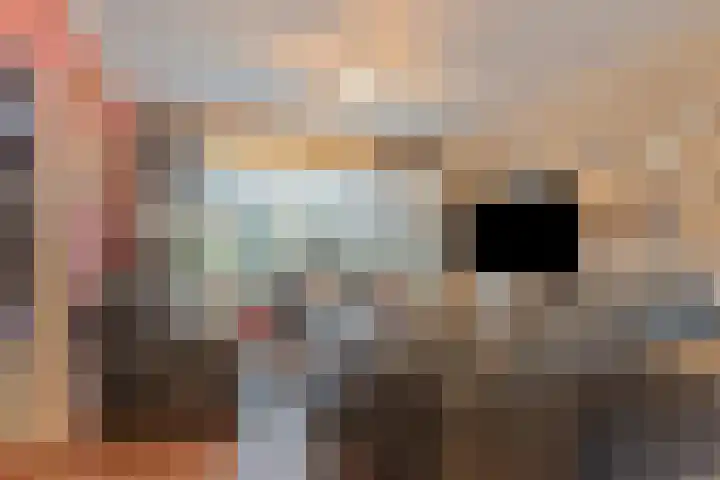 Mahlerlaan 5 Roosendaal thumbnail 10