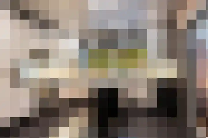 Mahlerlaan 5 Roosendaal thumbnail 17