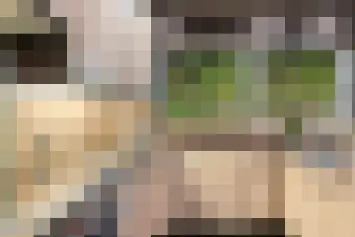 Mahlerlaan 5 Roosendaal thumbnail 18