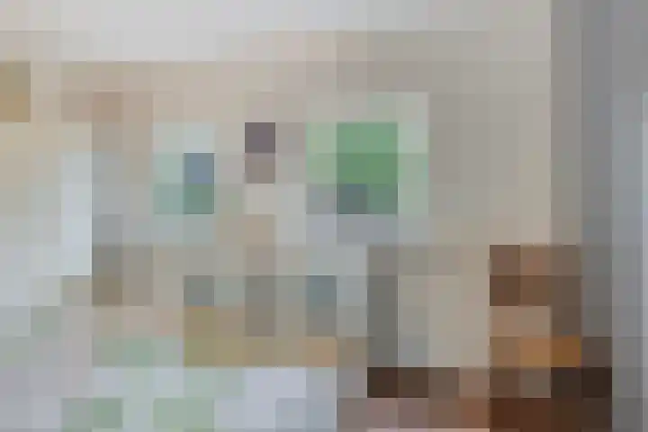 Mahlerlaan 5 Roosendaal thumbnail 20