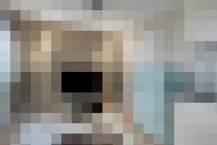Mahlerlaan 5 Roosendaal thumbnail 31