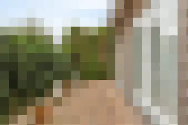 Mahlerlaan 5 Roosendaal thumbnail 34