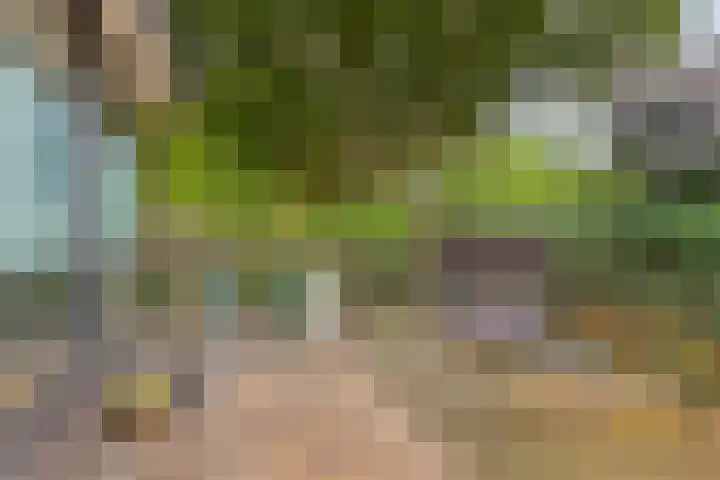 Mahlerlaan 5 Roosendaal thumbnail 36