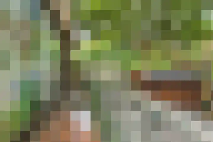 Mahlerlaan 5 Roosendaal thumbnail 37
