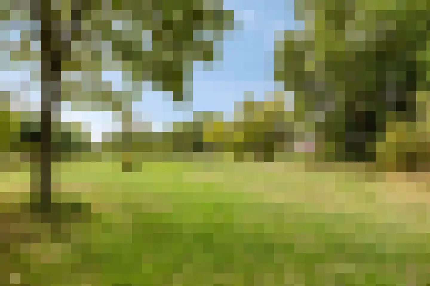 Mahlerlaan 9 Goes thumbnail 32