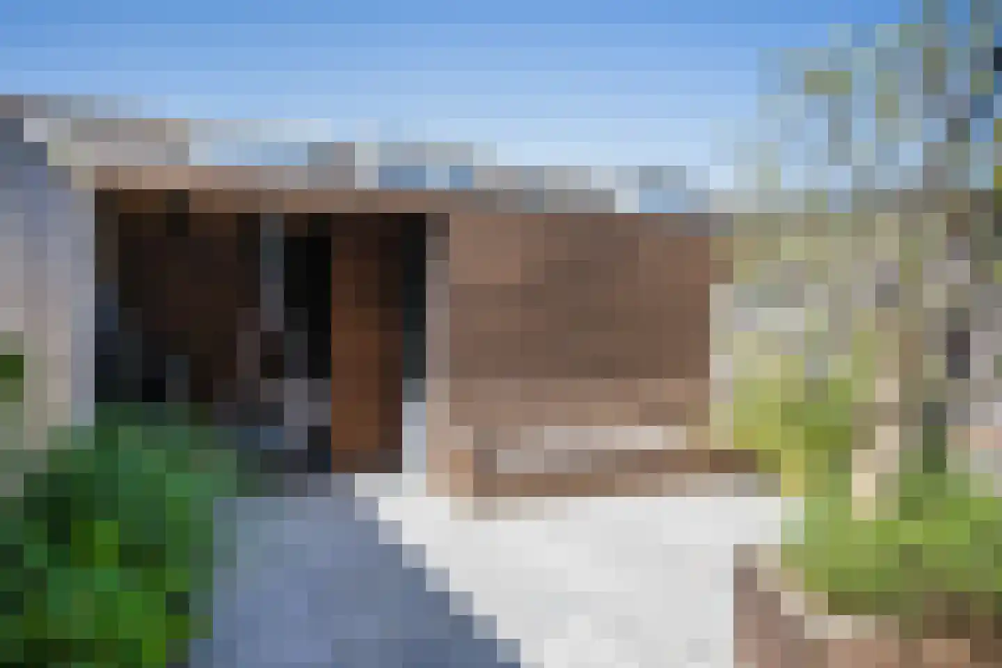 Mahlerlaan 9 Nieuw-Vennep thumbnail 34