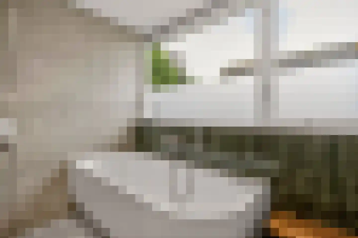Mahlerpad 10 Veenendaal thumbnail 43