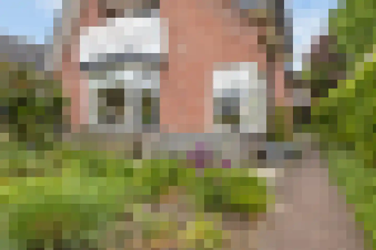 Mahlerpad 10 Veenendaal thumbnail 71