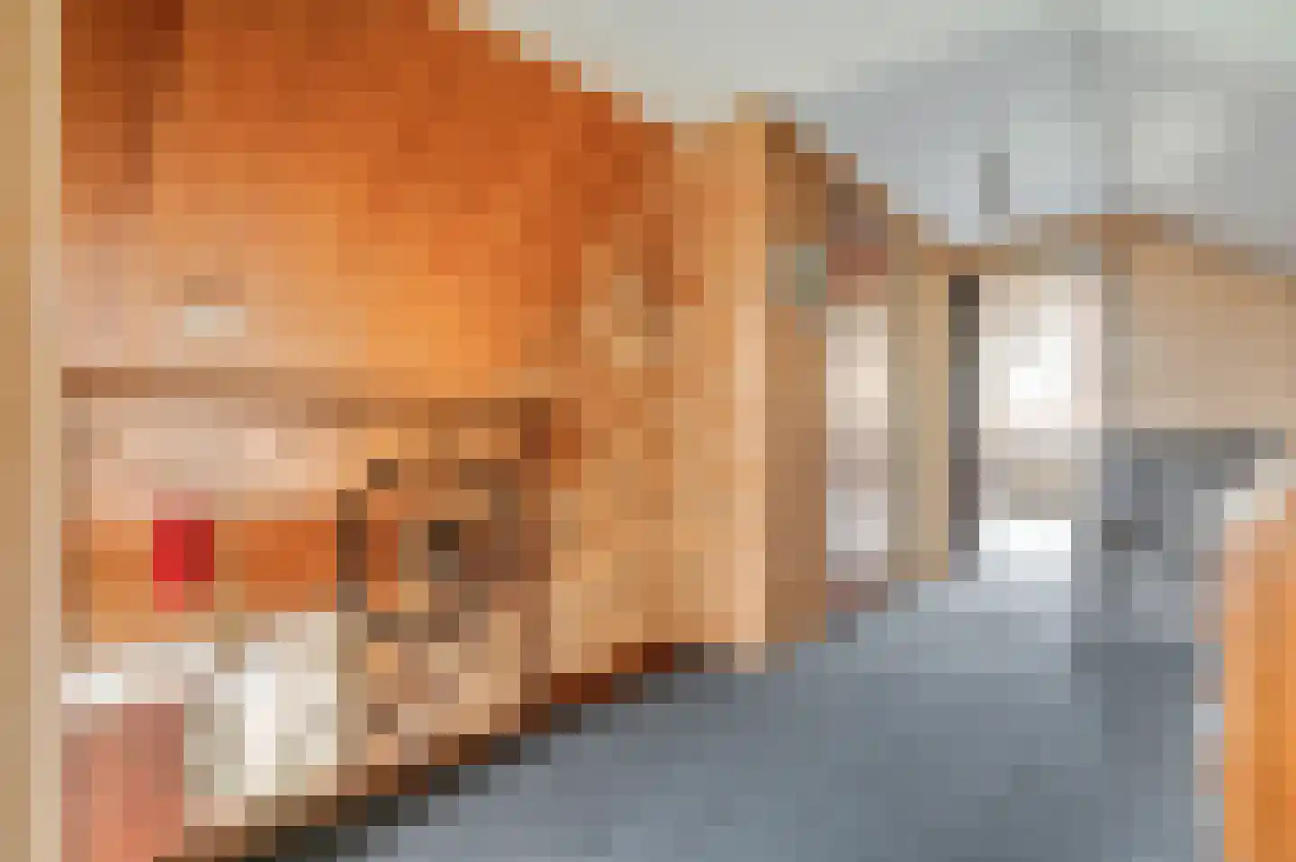 Mahlerpad 15 Veenendaal thumbnail 22