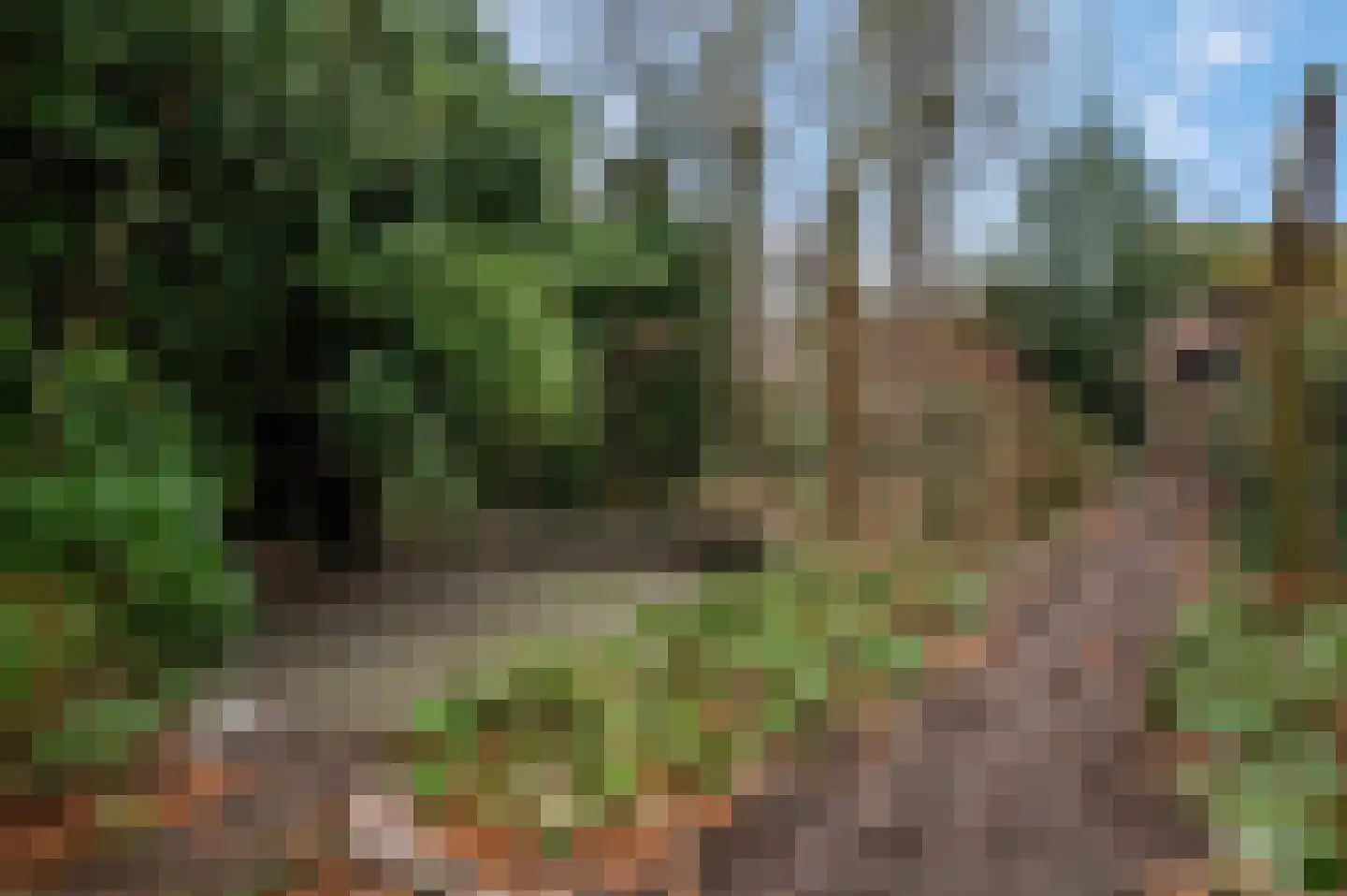 Mahlerpad 15 Veenendaal thumbnail 36