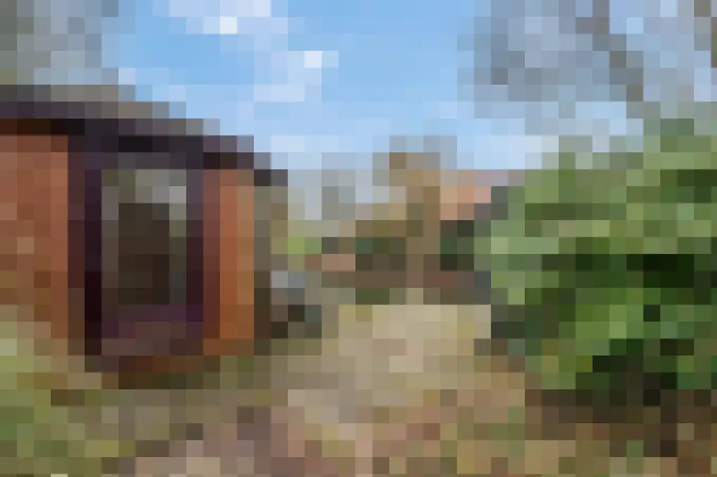 Mahlerpad 15 Veenendaal thumbnail 40