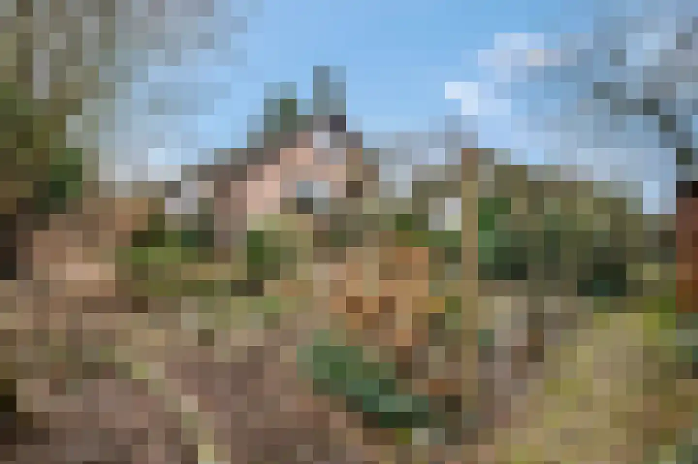 Mahlerpad 15 Veenendaal thumbnail 43