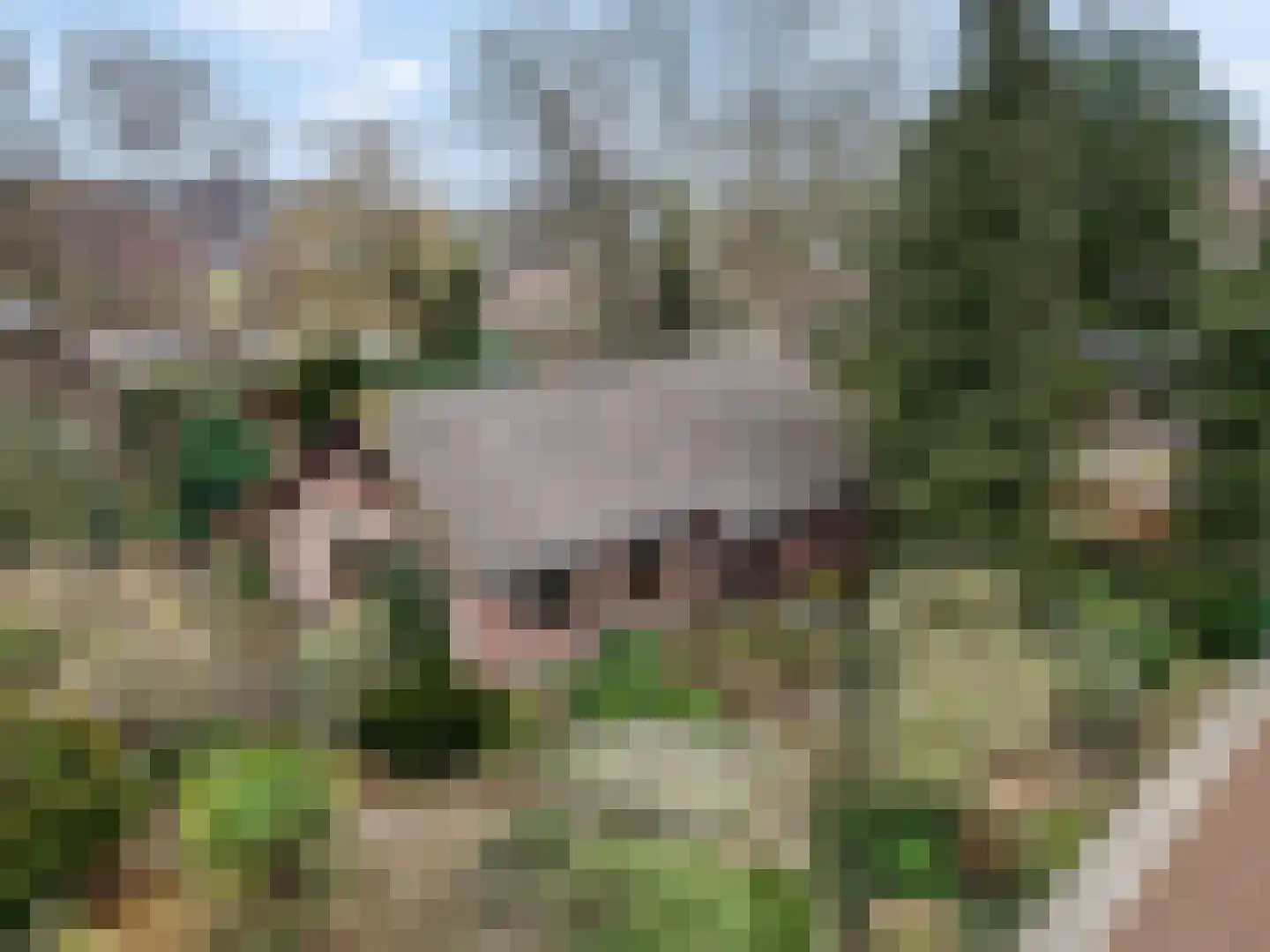 Mahlerpad 15 Veenendaal thumbnail 46