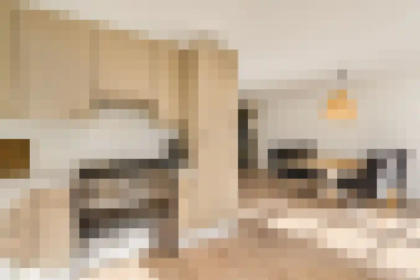 Mahlerpad 4 Veenendaal thumbnail 13