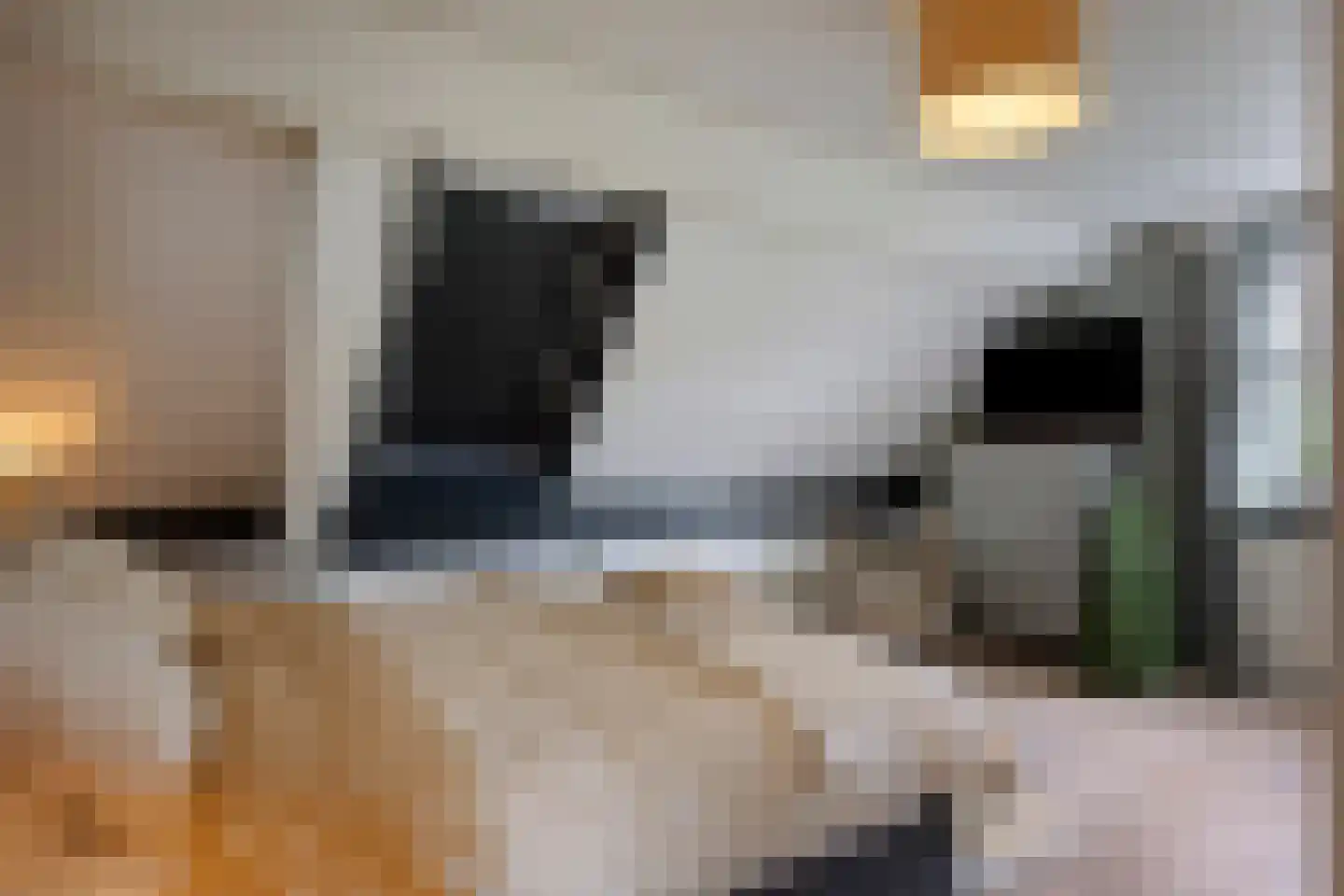Mahlerpad 4 Veenendaal thumbnail 20