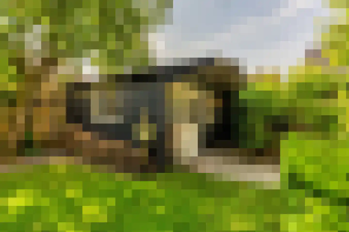 Mahlerpad 4 Veenendaal thumbnail 20